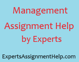 Management Assignment Help