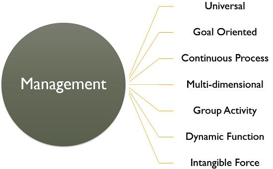 Management Exam Help